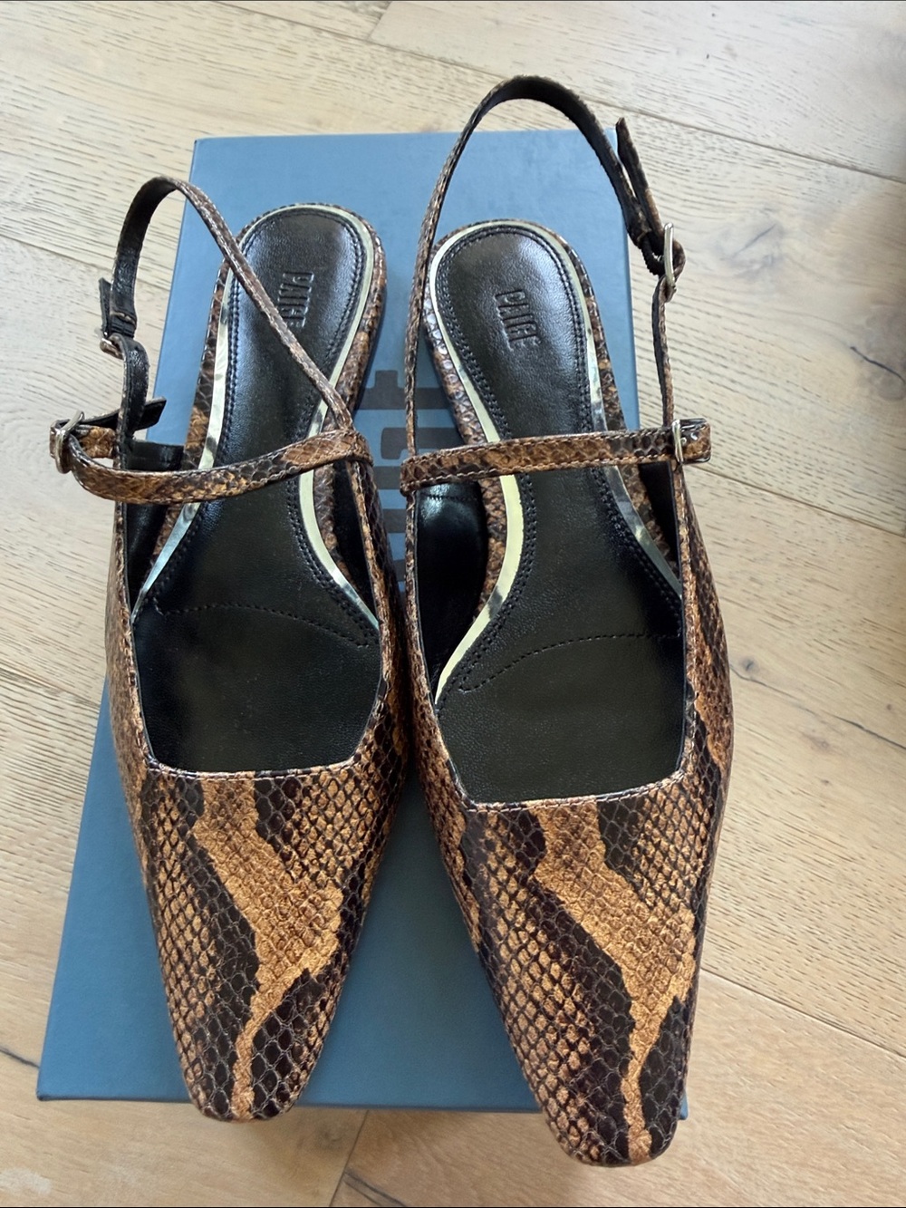 Paige Whitney Flat